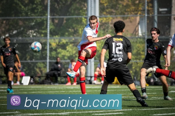 足球赛事分析服务体系